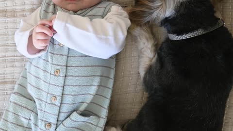 Toddler and puppy are bestfriends