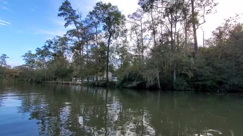 Check out some of these beautiful homes and camps on Bayou Lacombe