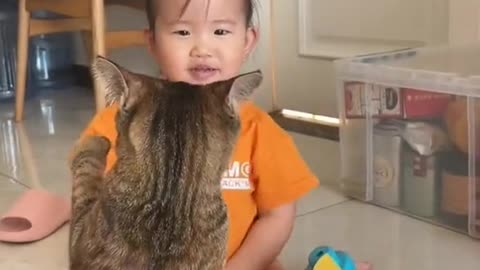 Cat vs baby Harmony in Play: The Tale of a Cat and a Cute Baby"