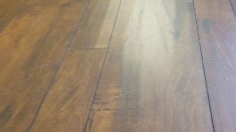 Flooring Cognac Maple Engineered HDF Hardwood Installation Churchill Drive Thompson Station TN