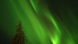 Aurora Borealis Dances Across the Night Sky