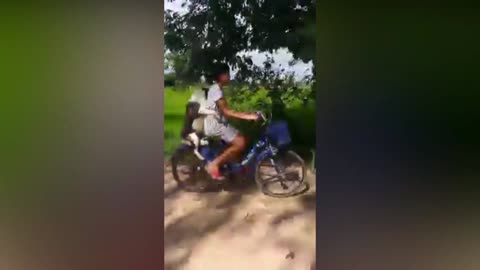 The girl and her dog ride a bicycle to go home.