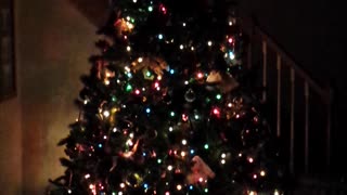 Christmas Tree Lights