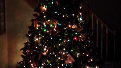 Christmas Tree Lights