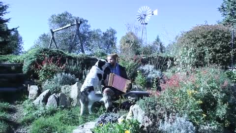 Dog singing along to man playing music