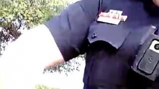 Texas Officer Smashes Out A Car Window. Sovereign Citizen Or Uncooperative Suspect?
