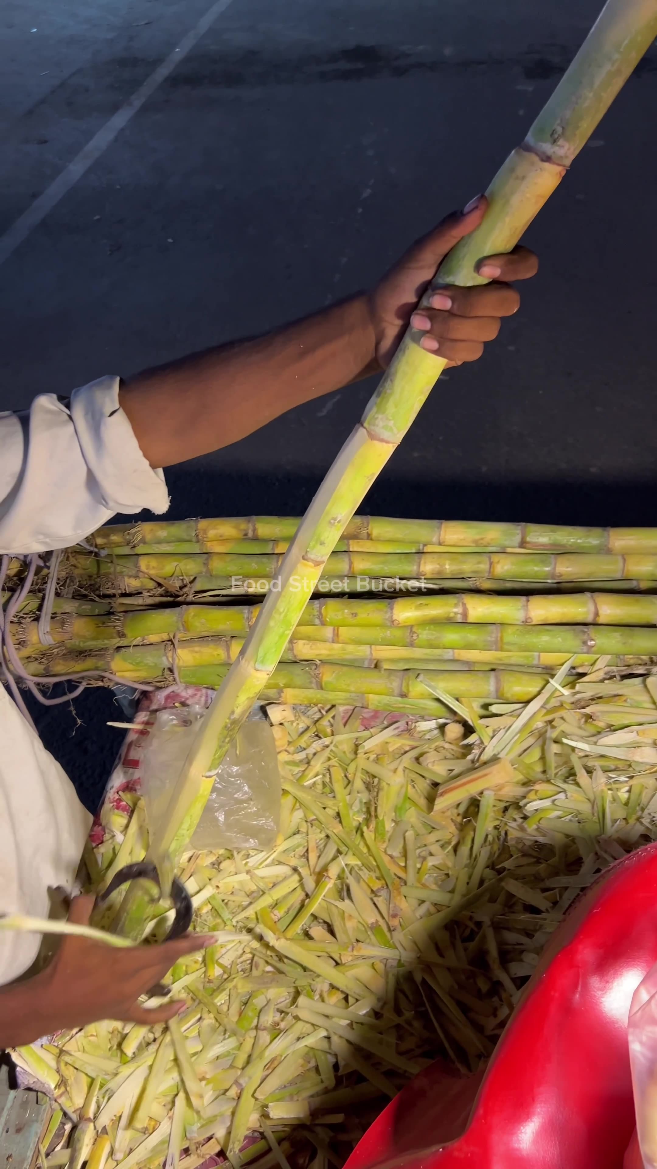 Sugarcane Cutting 9680