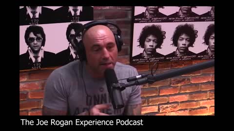 Joe Rogan On Gun Control