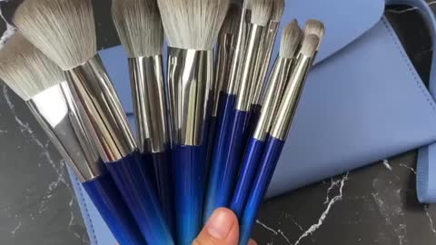 New blue brushes set with bag