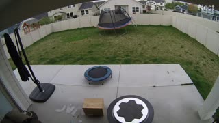 Gusty Wind Gives Trampoline to Neighbor as a Gift
