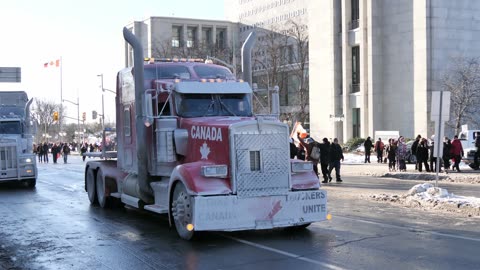 Freedom Convoy Canadian Truckers in Ottawa