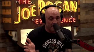 Joe Rogan OWNS CNN Correspondent on Children COVID Cases