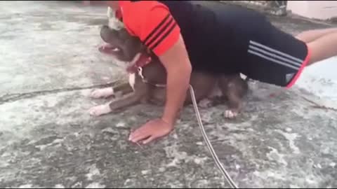 "Dog Helps His Friend Exercise"