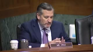 'Your Answer's Not Making Any Sense': Ted Cruz Grills CVS Exec About Shoplifting In San Francisco