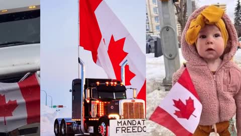 Ottawa city council - Truckers are terrorizing people with their honking