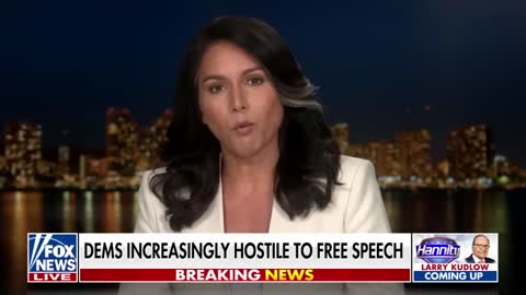 Tulsi Gabbard: Disinfo Board Makes Biden Admin a Dictatorship