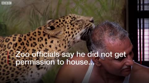 Indian man shares his house with leopards and bears - BBC News