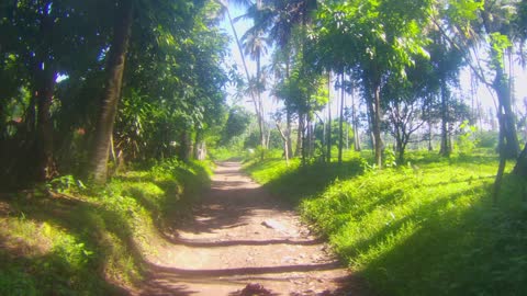 Janagdong Trail