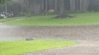 Flooding on Canyon Trail