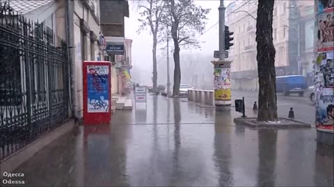 8 марта 2022 г. В Одессе снег. / March 8, 2022 Snow in Odessa.