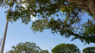 Blue Angels Vero Beach FL