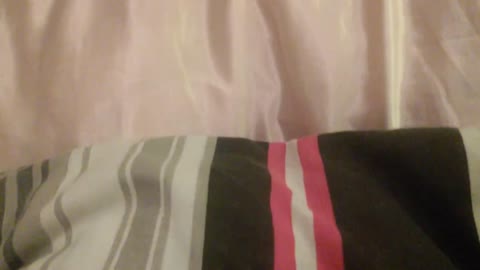 Pair caught in bed!