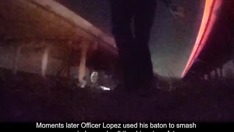 Denton police officers saved a woman who was trapped in an overturned vehicle that went off a bridge