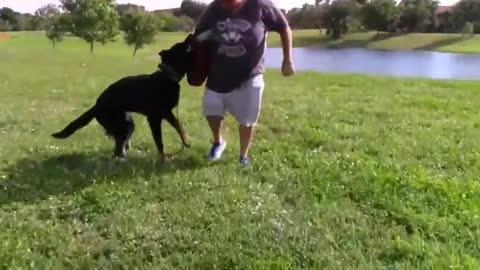 How To Make A Dog Become Fully Aggressive With Few Simple Tricks