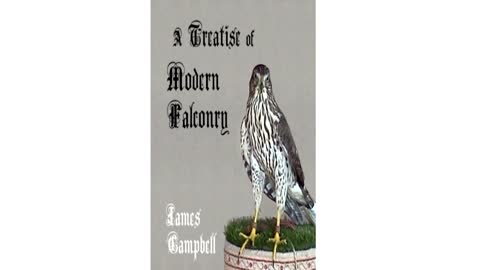 A Treatise of Modern Falconry #07