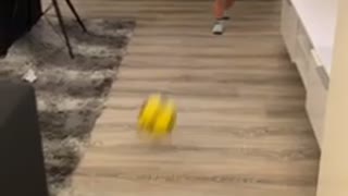 Baby gets hit in the face with soccer ball