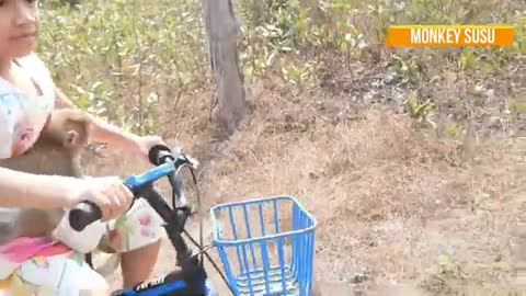 Funny cute monkey riding bike with sister and boy