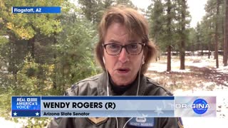 Sen. Wendy Rogers on Stopping Fraud, Holding Government Accountable