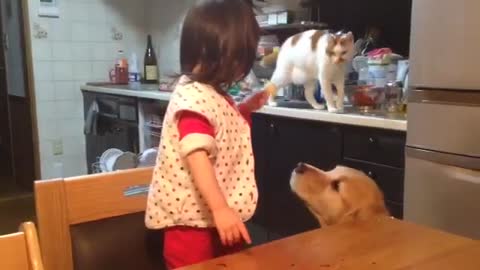 The Japanese little girl in the evening. with animals! cat and dog!