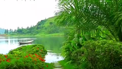 Amazing Nature Beauty Video 😄