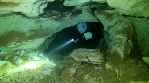 Giant Megalodon Shark Teeth Fossils Found In Mexico Cave