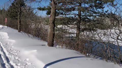 L hiver à Montréal 🇨🇦❄🦅