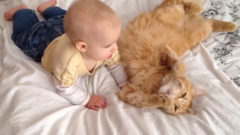 Baby played with cat