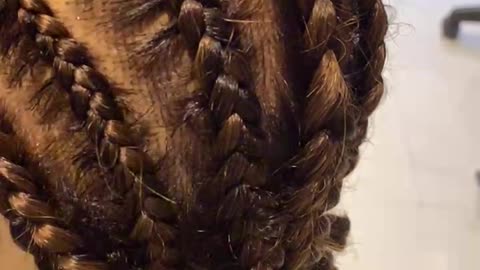 Hairstyle hair braids