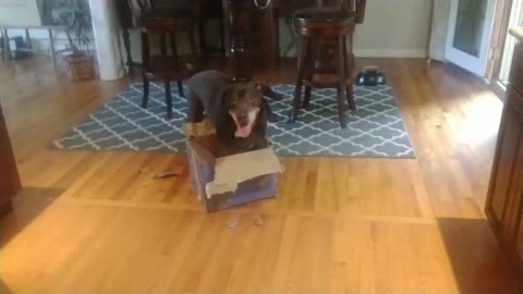 Clark and the Box