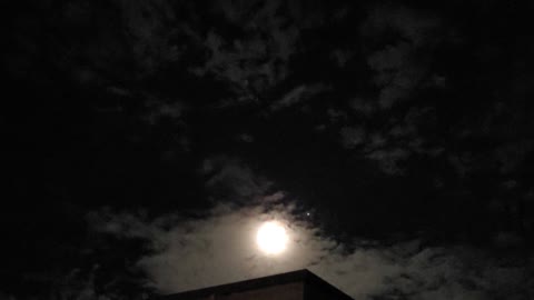 moonlight in the night sky