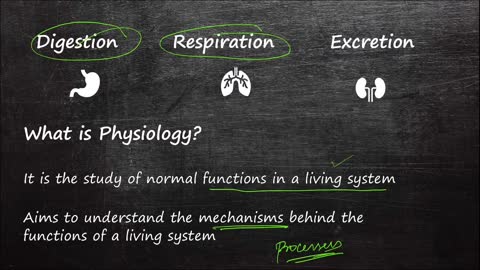 Todays Topic - Introduction to Human Physiology