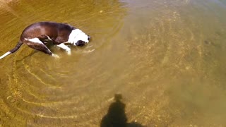 Louie Bobbing for fish