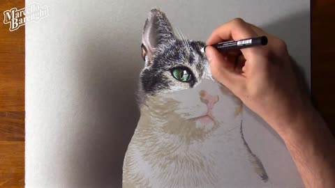 Color The Kitten's Eyes With Colored Lead