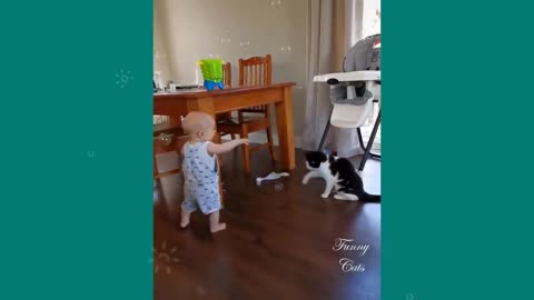 cat makes baby happy