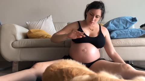 A dog is the best companion for a pregnant lady