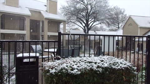 Beautiful Snow in Fort Worth, Texas, USA, on Sunday, January 10, 2021