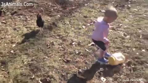 video of2 Funny Babies and Chicken Become Best Friend 🐣🐥🐔 Funny Babies and Pets Compilation