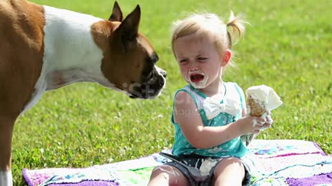 Boxer Dog Little Girl And Ice Cream Cone Stock Video - Download Video Clip Now - iStock