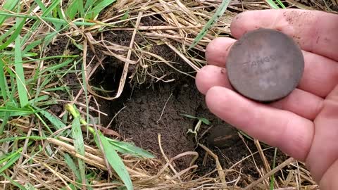 Metal Detecting For Old Treasures