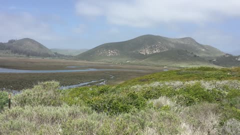 Elfin Forest, Los Osos, CA